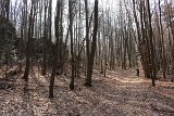 IMG 0925