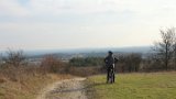 IMG 0927