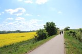 IMG 1042