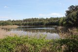 IMG 1099