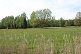 IMG 1109