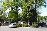 IMG 1025