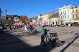 IMG 1033