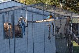IMG 1036