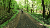 vlcsnap-2025-04-28-15h14m47s012