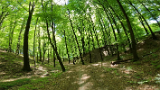 vlcsnap-2025-04-28-15h19m07s345