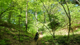 vlcsnap-2025-04-28-15h42m01s599