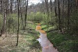 IMG 0965