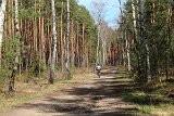 IMG 0967