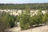 IMG 0969