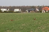 IMG 0940
