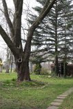 IMG 0943