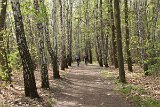 IMG 0975