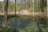 IMG 0978