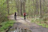 IMG 0979