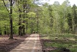 IMG 0983