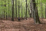 IMG 0987