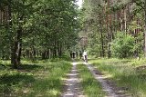 IMG 1646