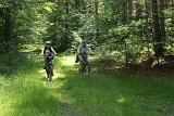 IMG 1650
