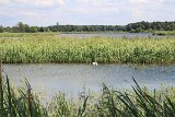 IMG 1655