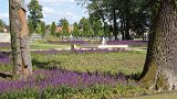 IMG 1663