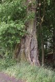IMG 1669