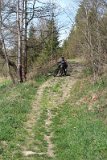 IMG 3061