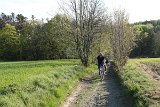 IMG 3088