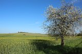 IMG 3093