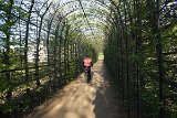 IMG 3098