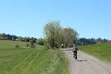 IMG 3106