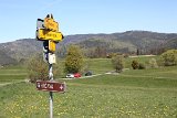 IMG 3111