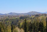 IMG 3112