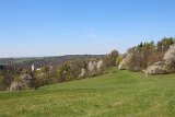 IMG 3017
