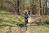 IMG 3019