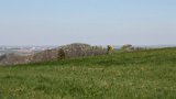 IMG 3021