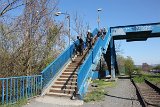 IMG 3037