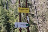 IMG 3151