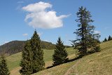 IMG 3156