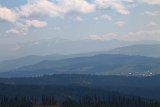 IMG 3164