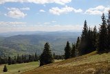 IMG 3167