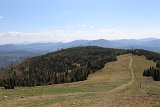 IMG 3170