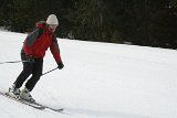 IMG 0378