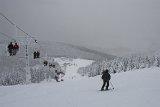 IMG 7696