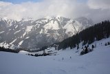 IMG 3336