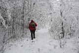 IMG 4841
