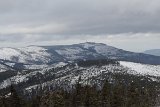 IMG 4328