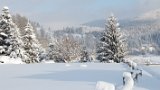 IMG 5977