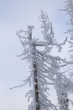 IMG 6004