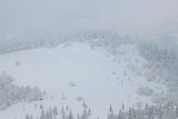 IMG 6008